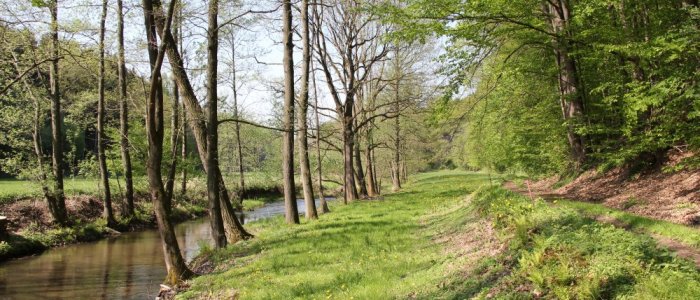 Vom oberen Triebischtal (Quellgebiet der Triebisch) bis nach Mohorn